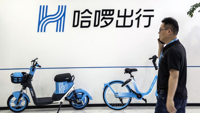 哈啰最新動態(tài)，擁抱自然美景的治愈之旅