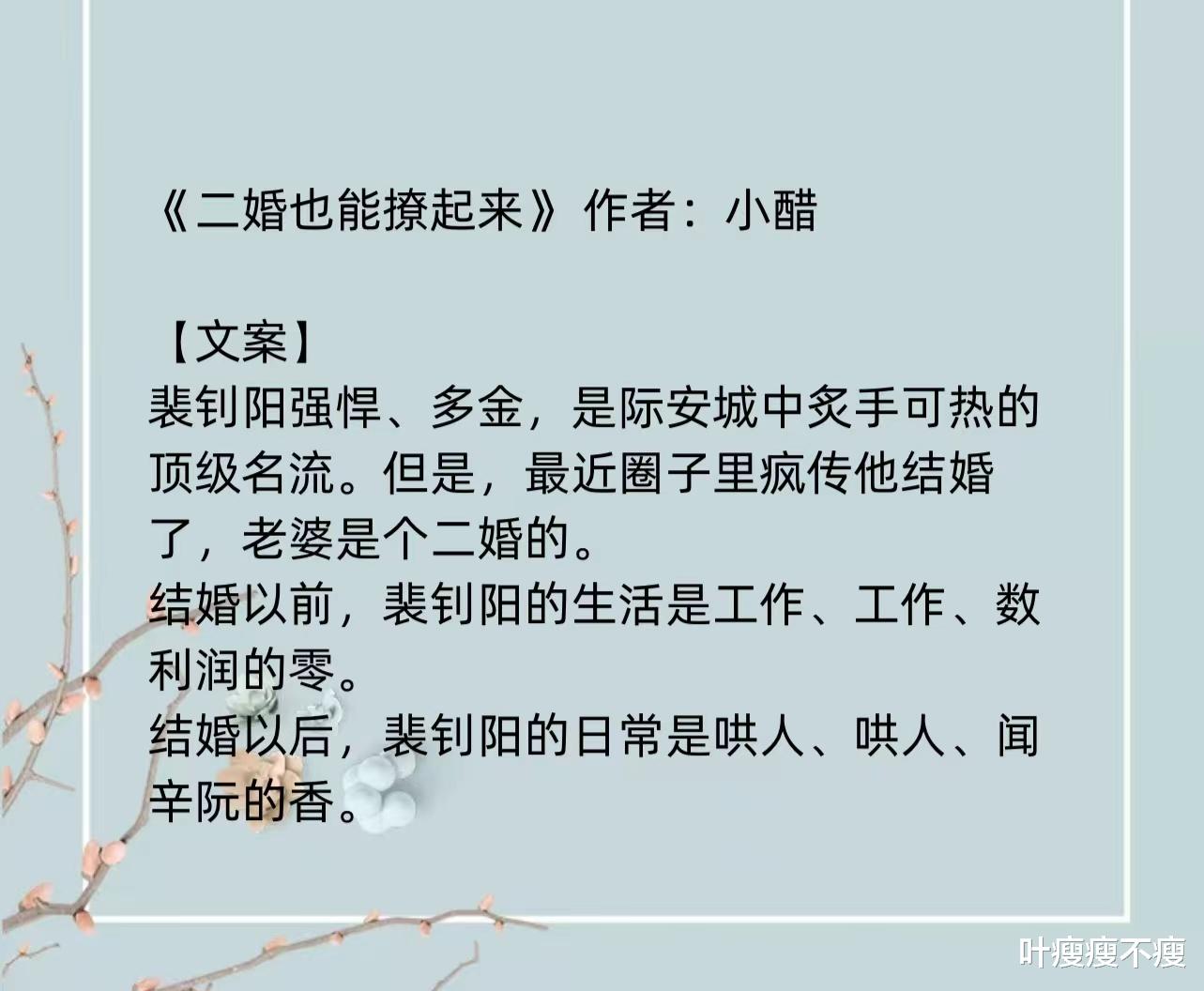 最新二婚小說，小巷深處的浪漫故事