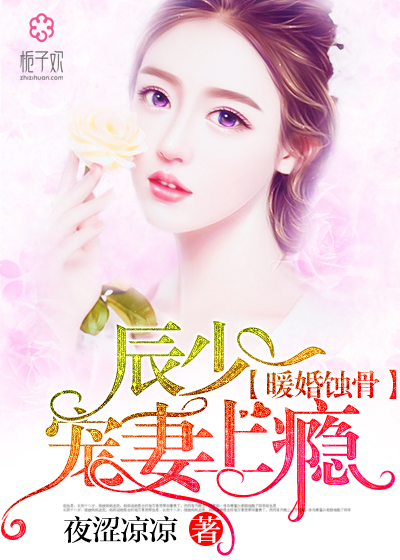 陸少寵上癮最新動態(tài)，日常趣事與真摯友情的獨(dú)特魅力