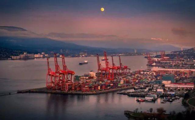 揭秘，53艘運煤船在華新動態(tài)與獨特煤香小店的故事