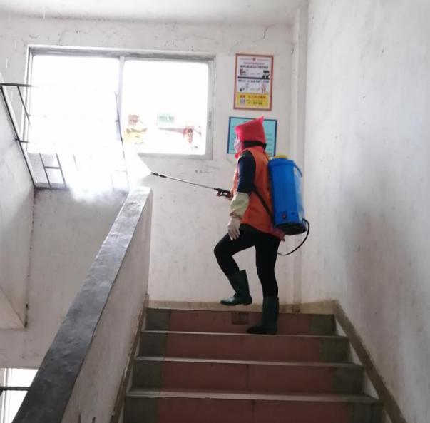 蓬江區(qū)最新高科技住宅，重塑未來生活體驗(yàn)的首選之地