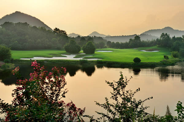 風(fēng)水最新動(dòng)態(tài)，日常小事中的風(fēng)水奧秘與溫馨解讀