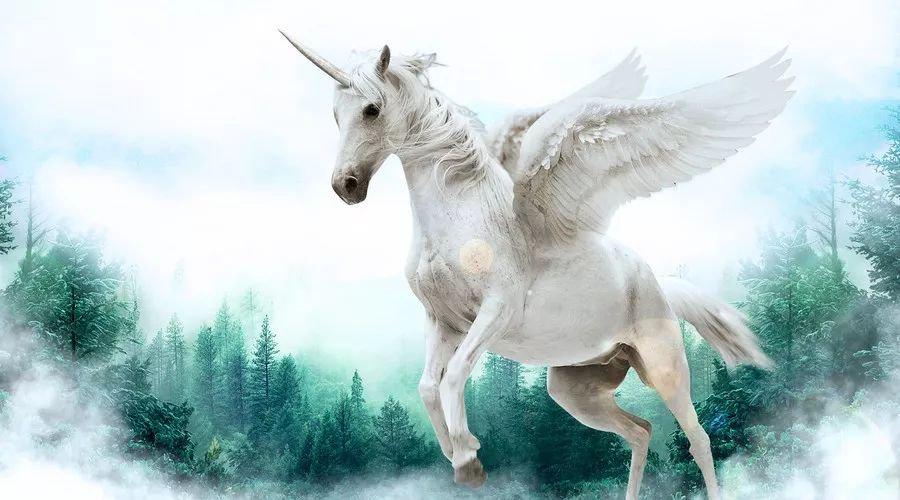 中國最新獨(dú)角獸，自信與成就感的源泉